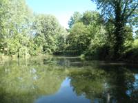 L'étang de pêche