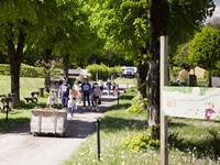 Arrivée de nouveaux campers