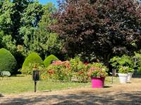Le jardin en juin