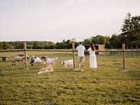 Moment avec les animaux du ranch