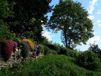 Accés jardin au printemps