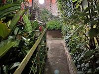 notre jardin