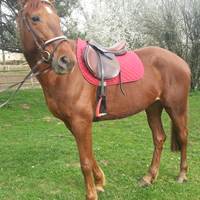 2013-05-03-presta