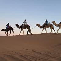 IMG-20250225-WA0039