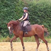 20140802_102541-presta
