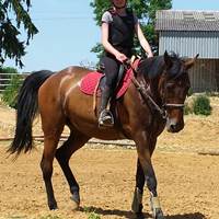 2014-06-07 17.22.49-presta