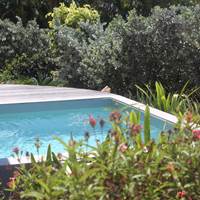 Iguane House villas & Micro Spa piscine Villa Lagon