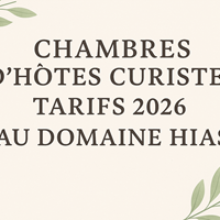 Chambres d’hôtes Curistes avec espace convivial au Domaine Hias-photo-news