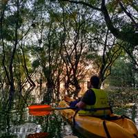 IMG-20210718-WA0031-presta