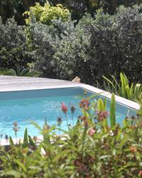 Iguane House villas & Micro Spa piscine Villa Lagon