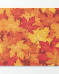 papier_cadeau_feuille_dautomne-r8d63948913494a2992fe2a2b0712ca4a_zkknq_8byvr_200.jpg