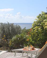 Iguane House villas et micro spa piscine et vue mer Mangrove REDIM.JPG