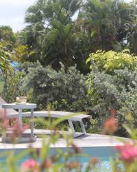 iguane house formule serenite.JPG