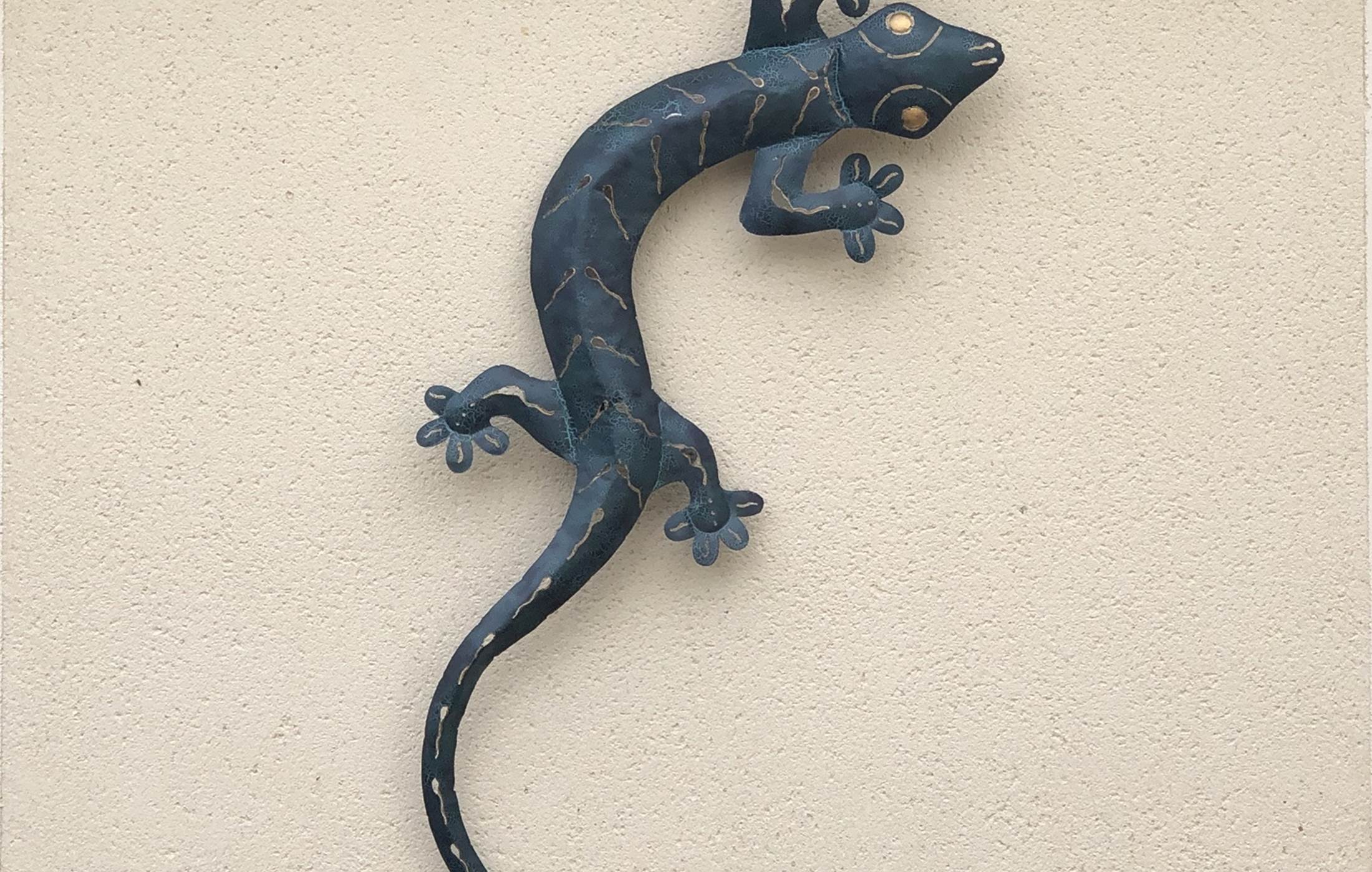 la salamandre dur le mur de la façade