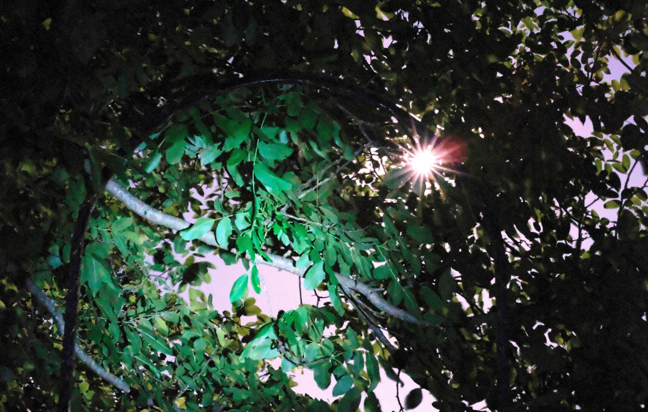 le portail et la lune