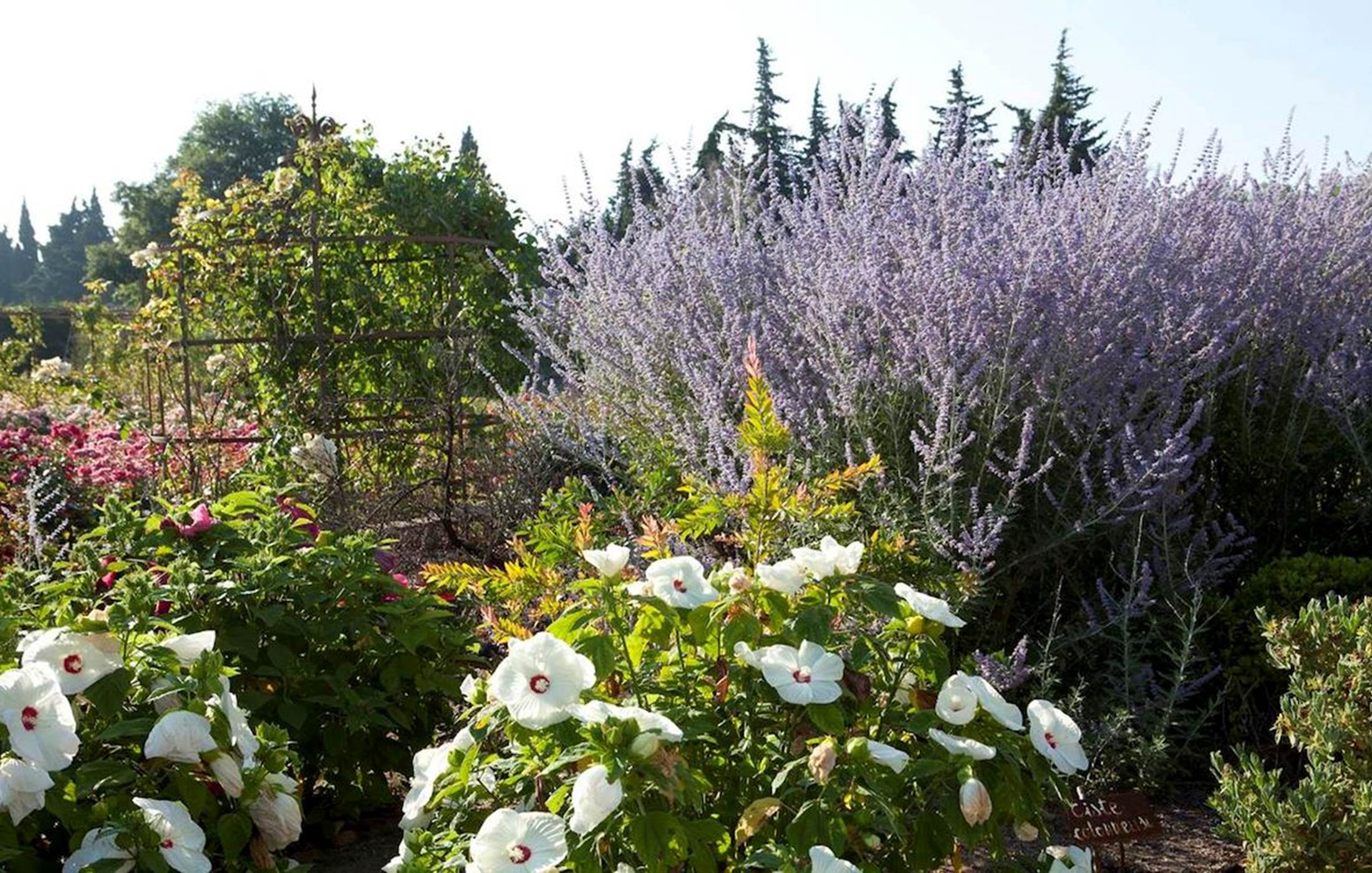 jardin-artistique-fleurs-gloriette