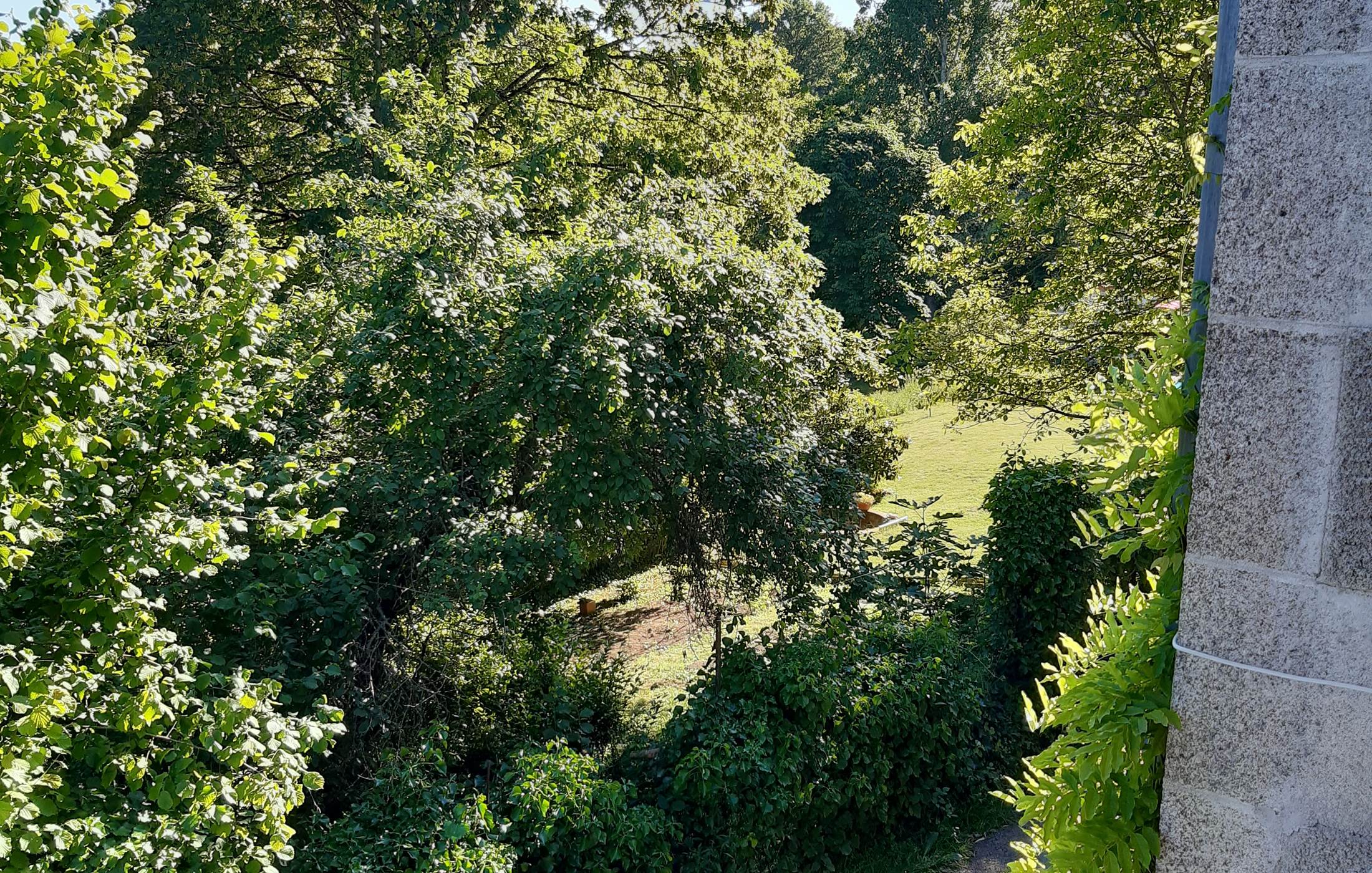 Maison Volière extérieur