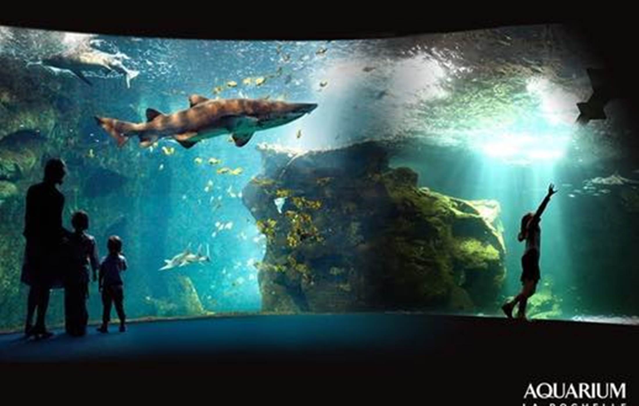 Aquarium de la Rochelle