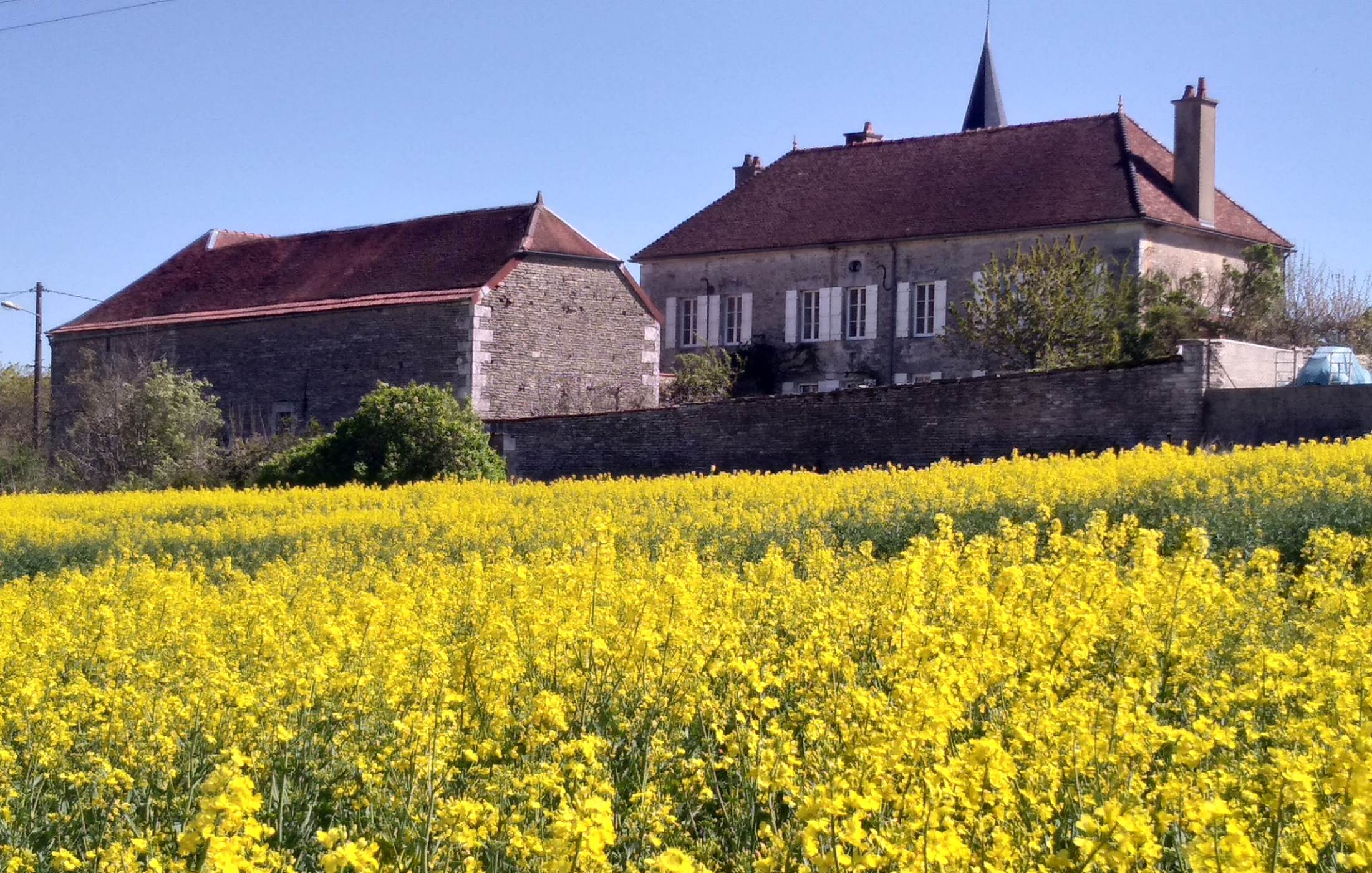 La maison vue de derrière