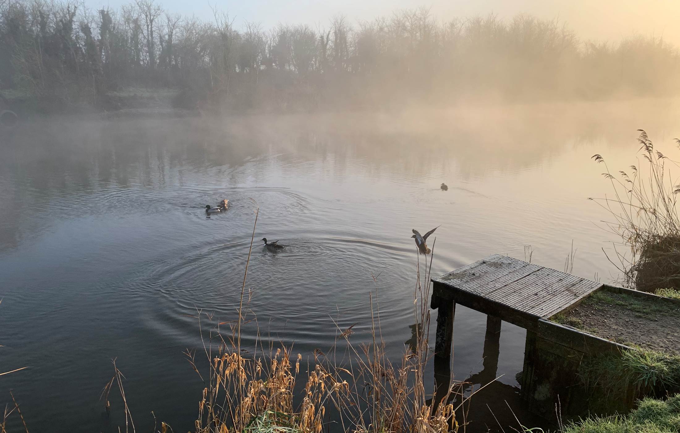 © Au Presbytère de Saigneville