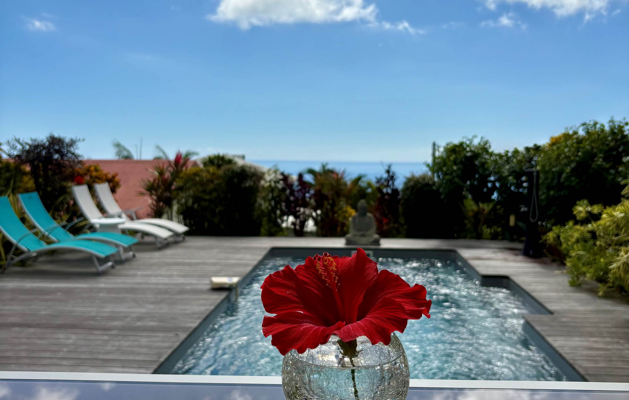 Piscine chauffée avec vue mer ou océan