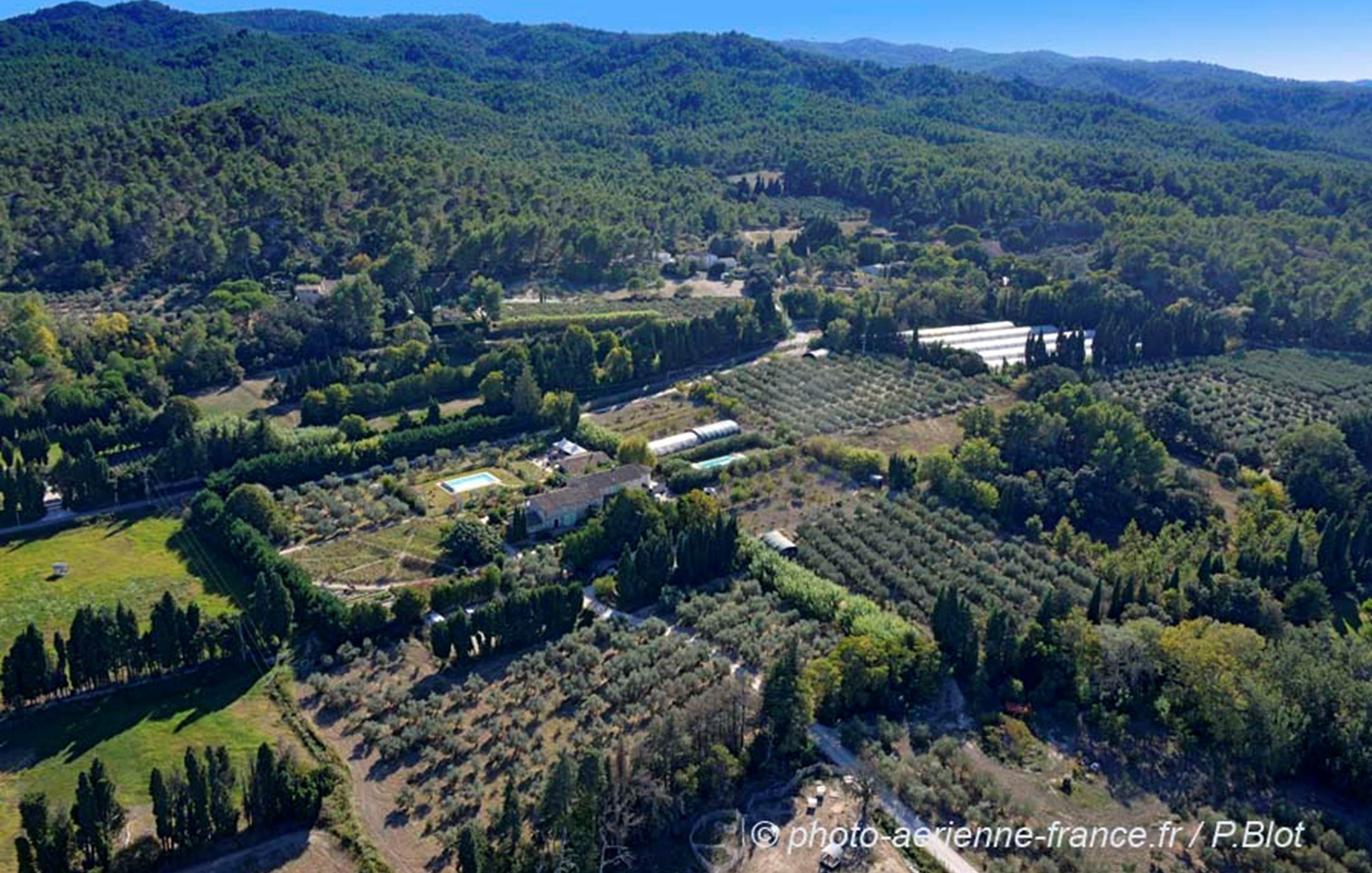vue sur les Alpilles au mas des figues