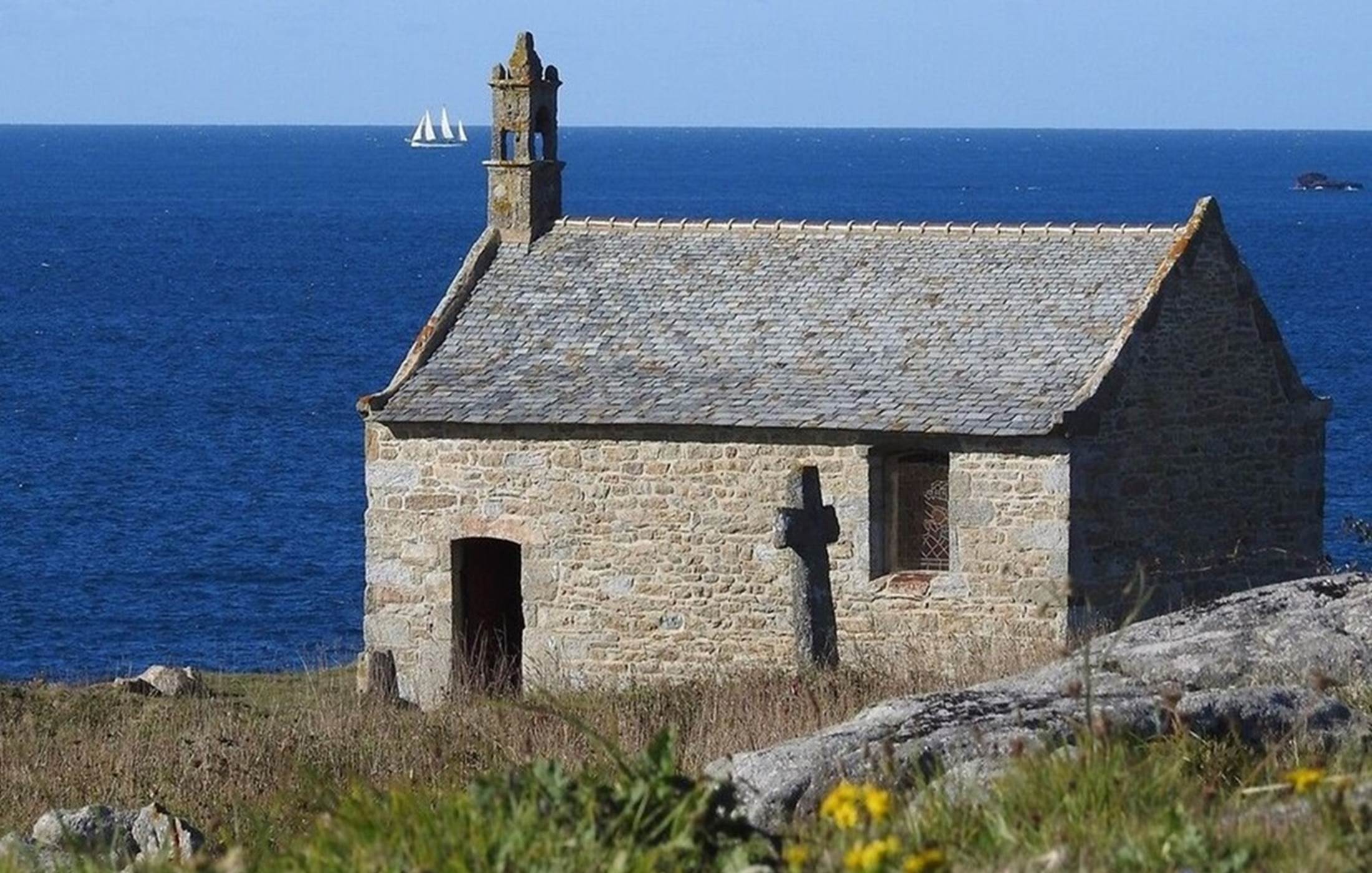 large_311135_cspau4dcsv_whr_e0b1077b7a