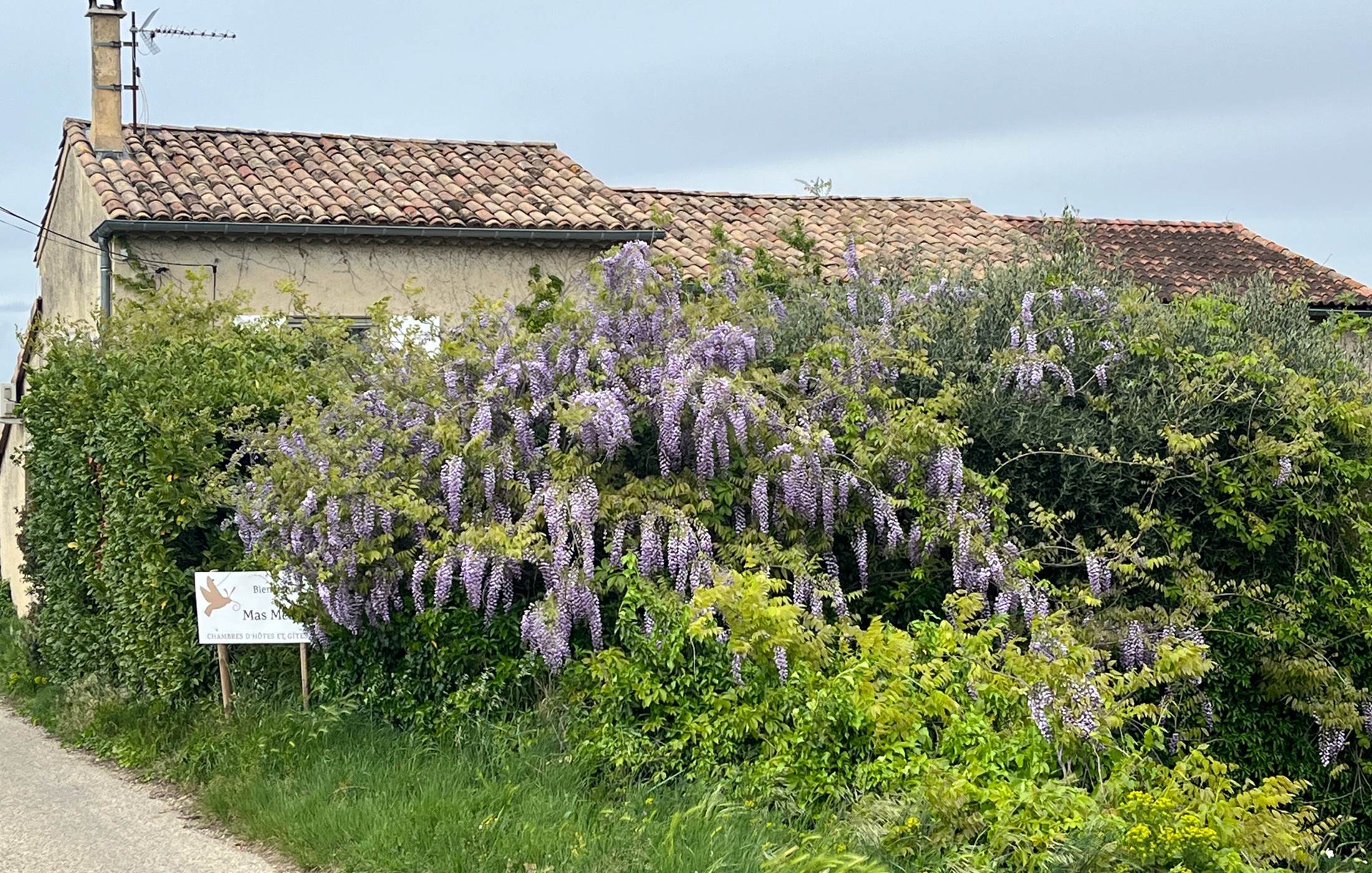 Le Mas Mellou / Gîtes et Chambres d'hôtes