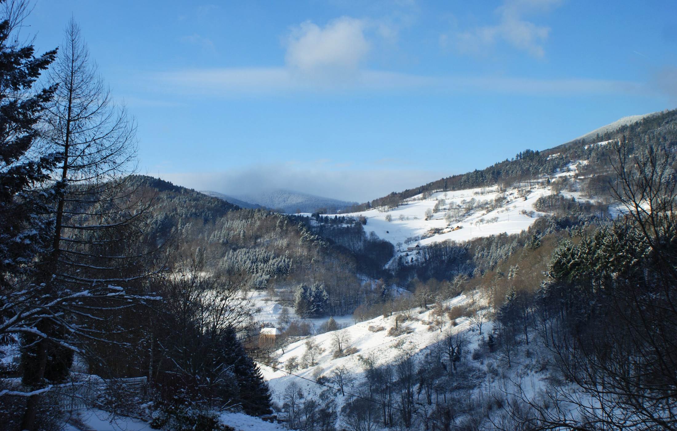 vue sur les collines Vosgiennes en hiver