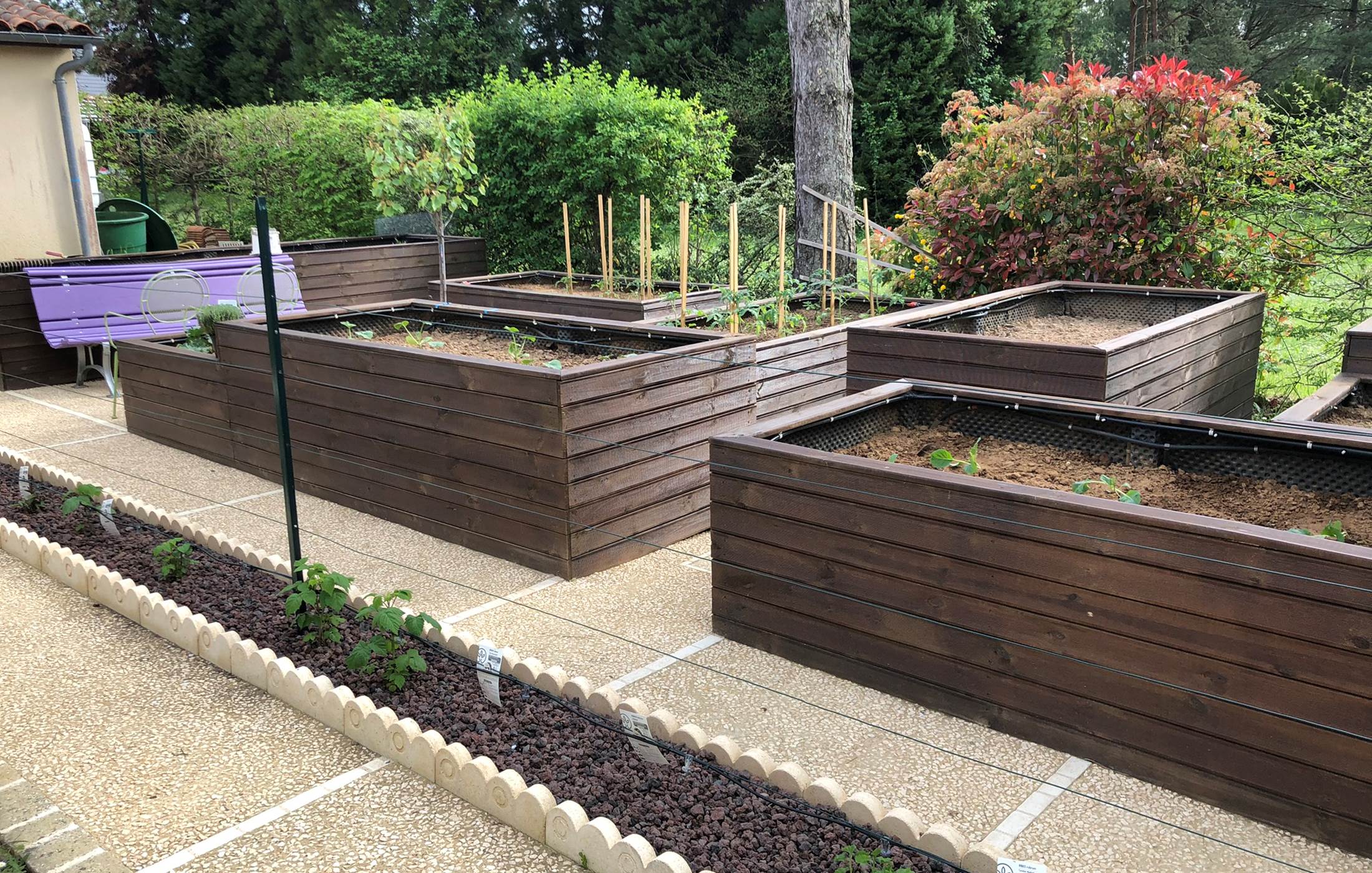 le potager en hauteur