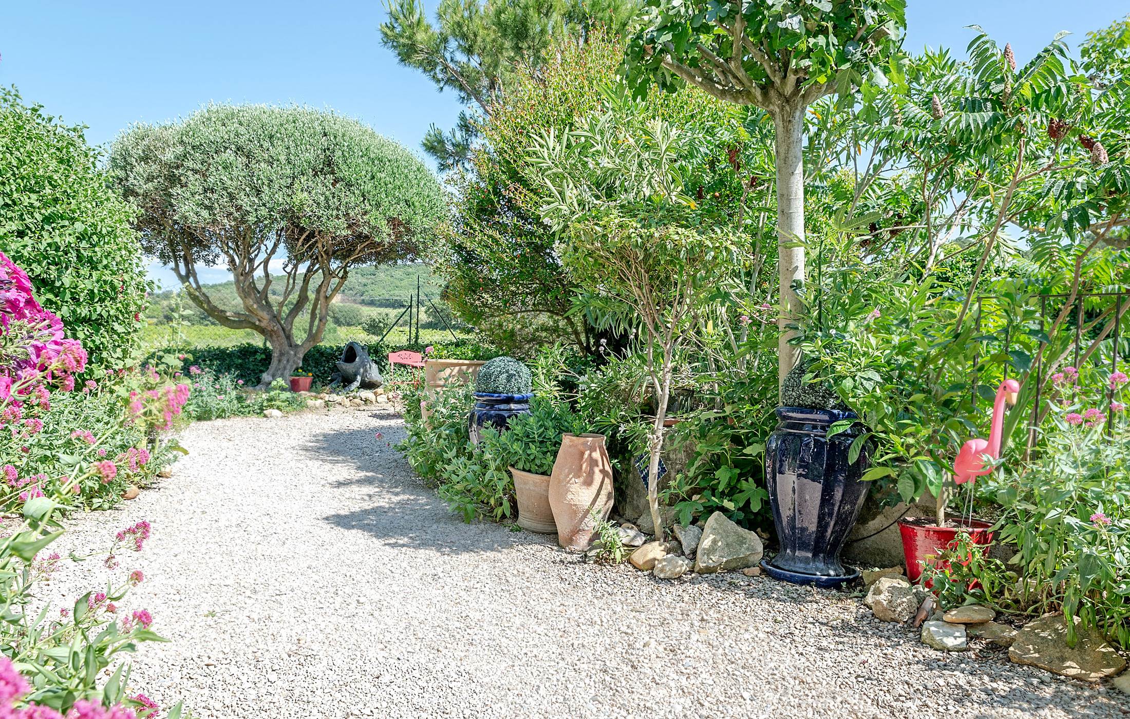 Le Mas Mellou : Le Jardin