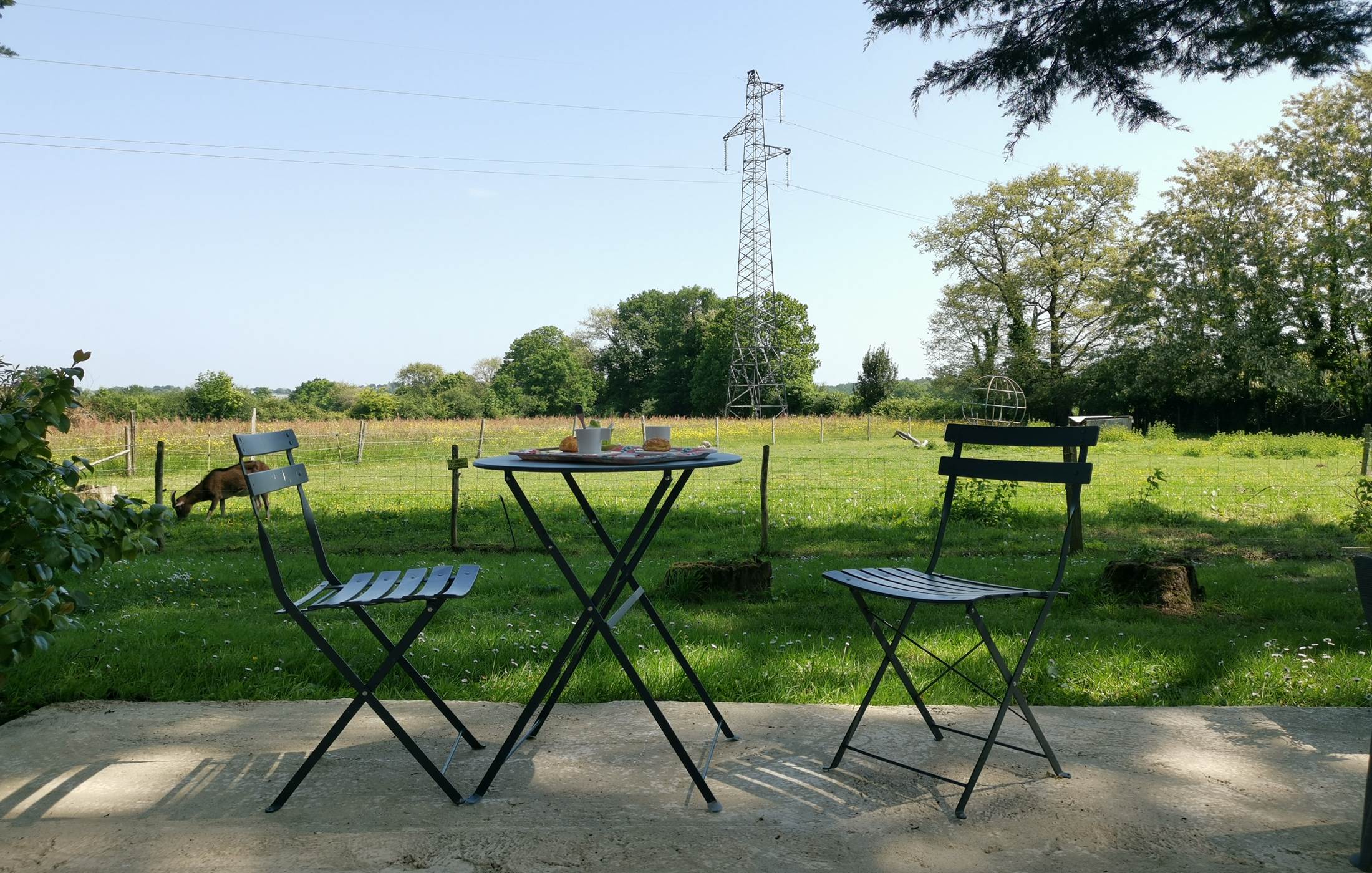 Terrasse privée chambre d'hôte Gingko, moulin de La Retardière