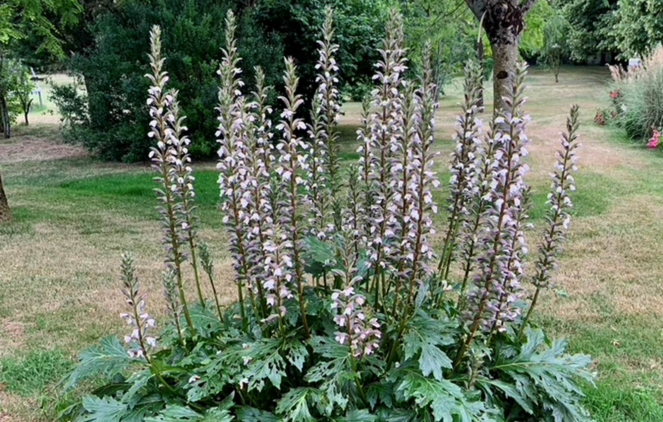 3F0CA26D-630B-4978-8399-C7F5EF66970A_1_105_c