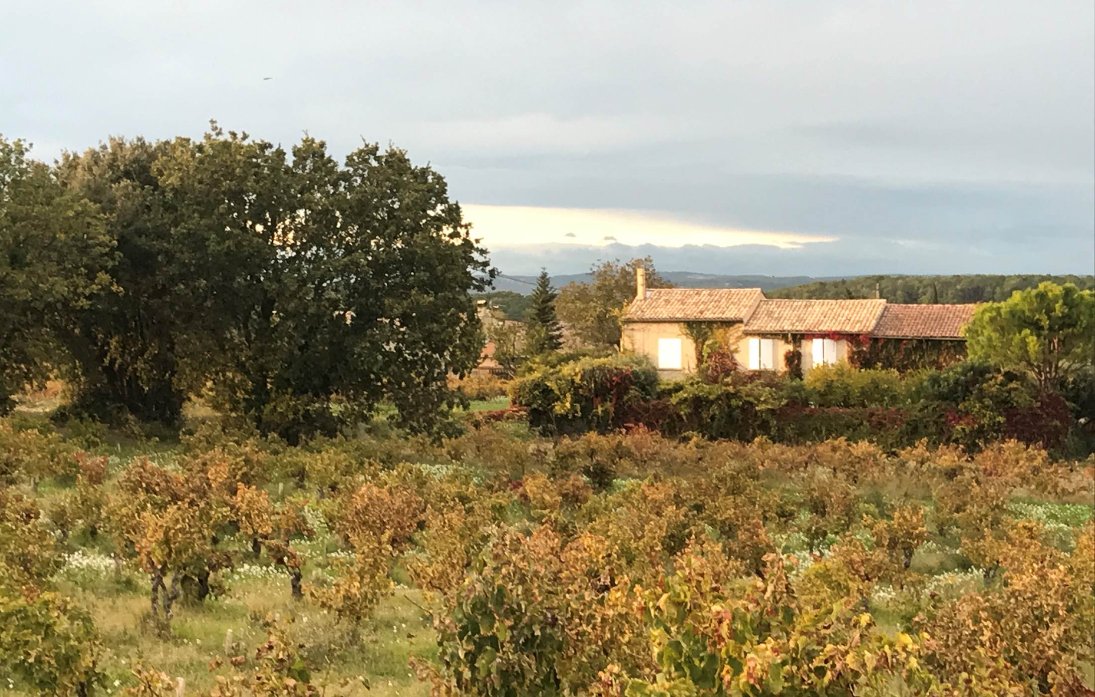 Le Mas Mellou : Chambres d'hôtes et Gîtes