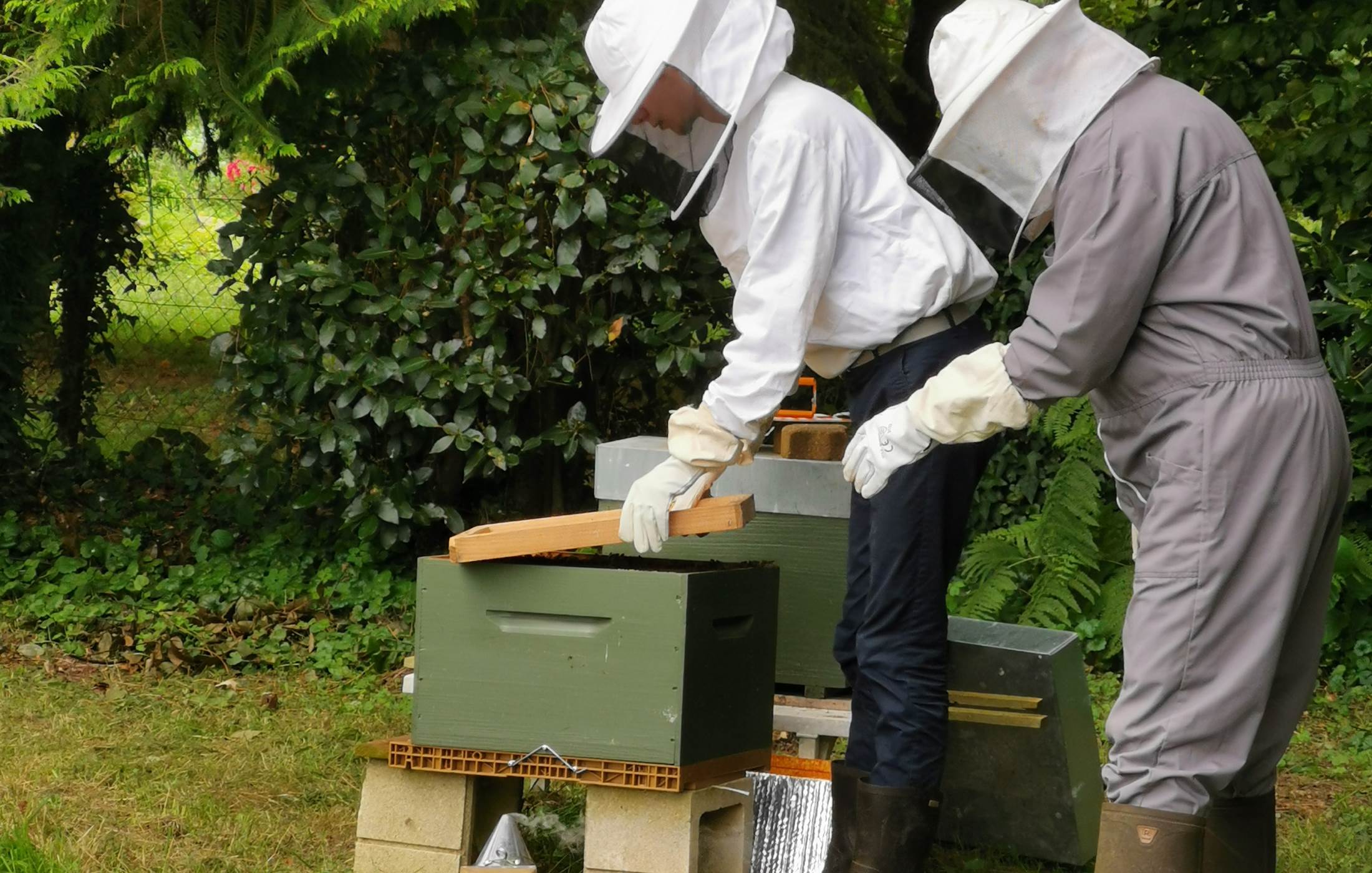 La  ruche Moulin de La Retardière