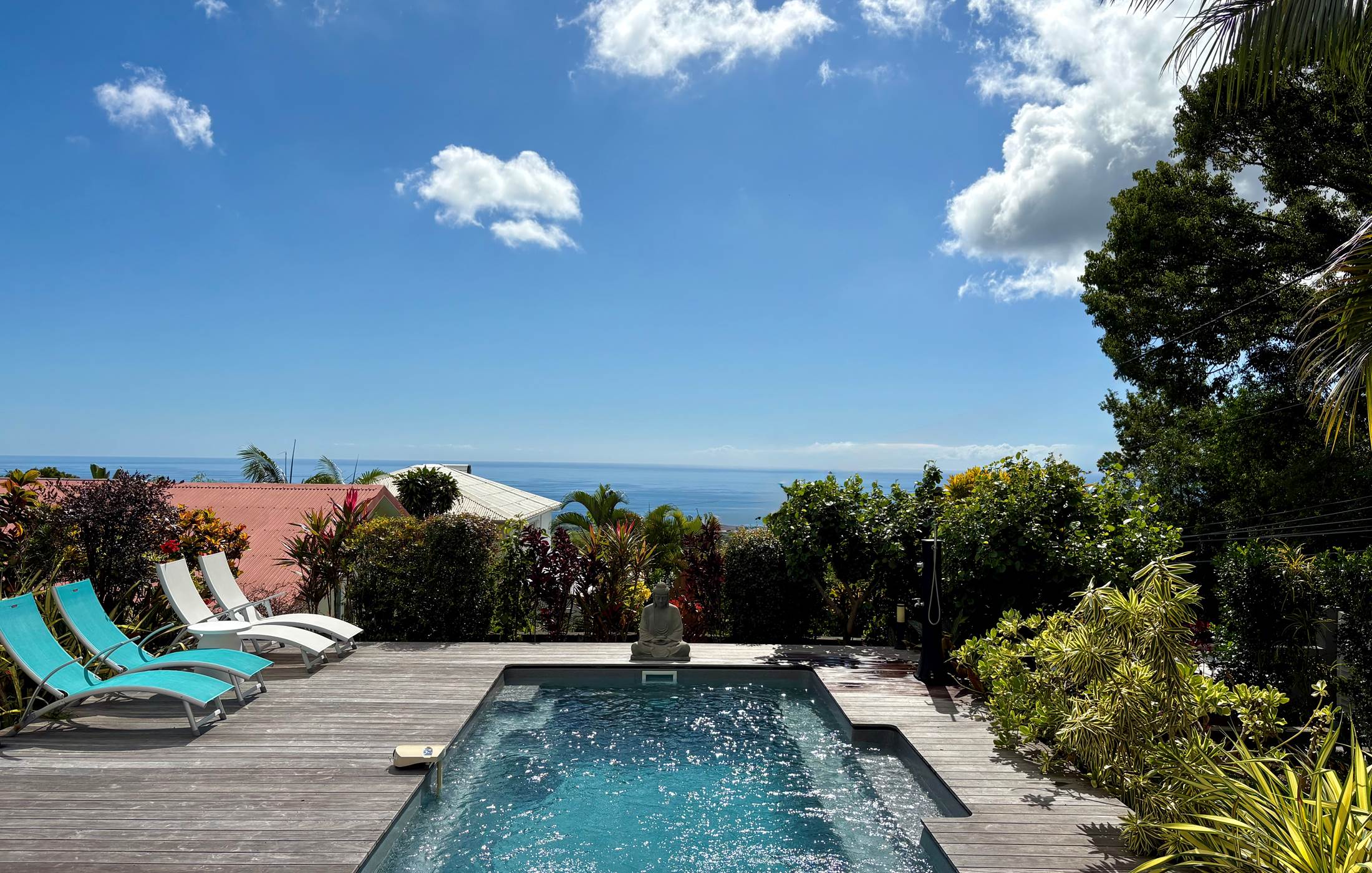 piscine au sel chauffée au milieu d'un jardin tropical