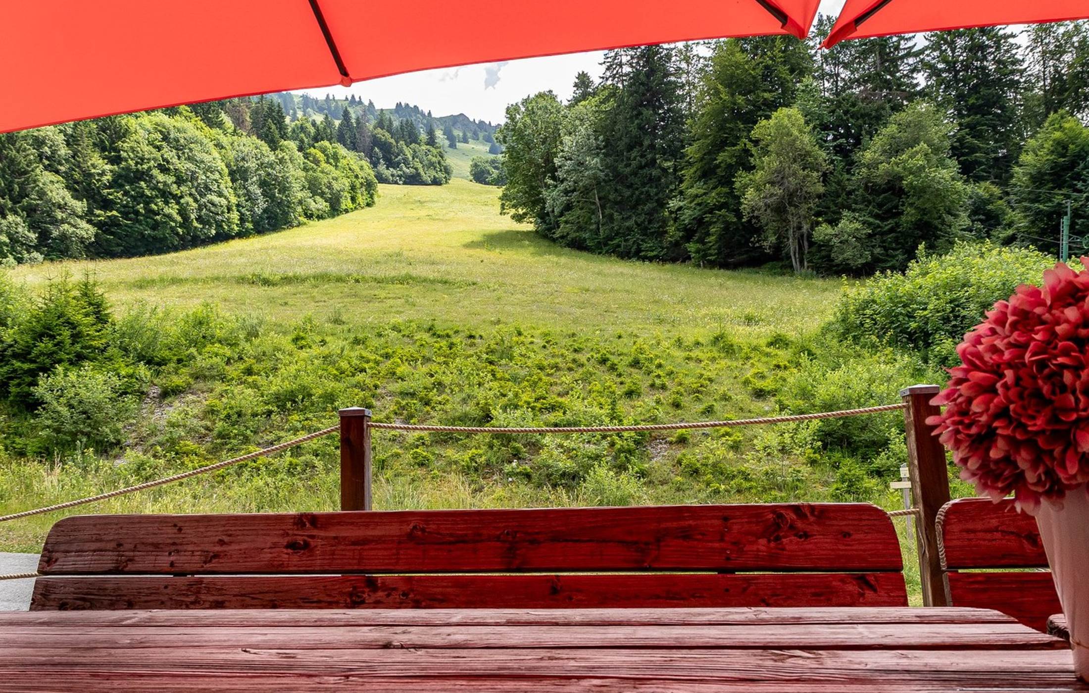 La terrasse avec vue