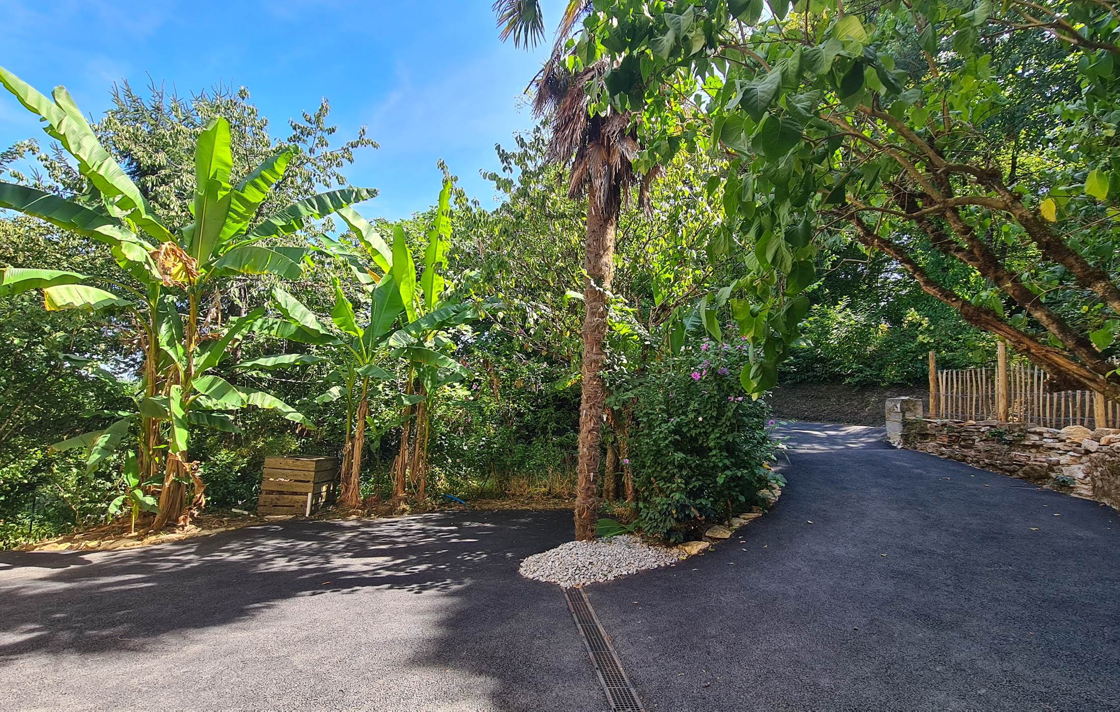 jardinnaturel/palmiers/bananiers