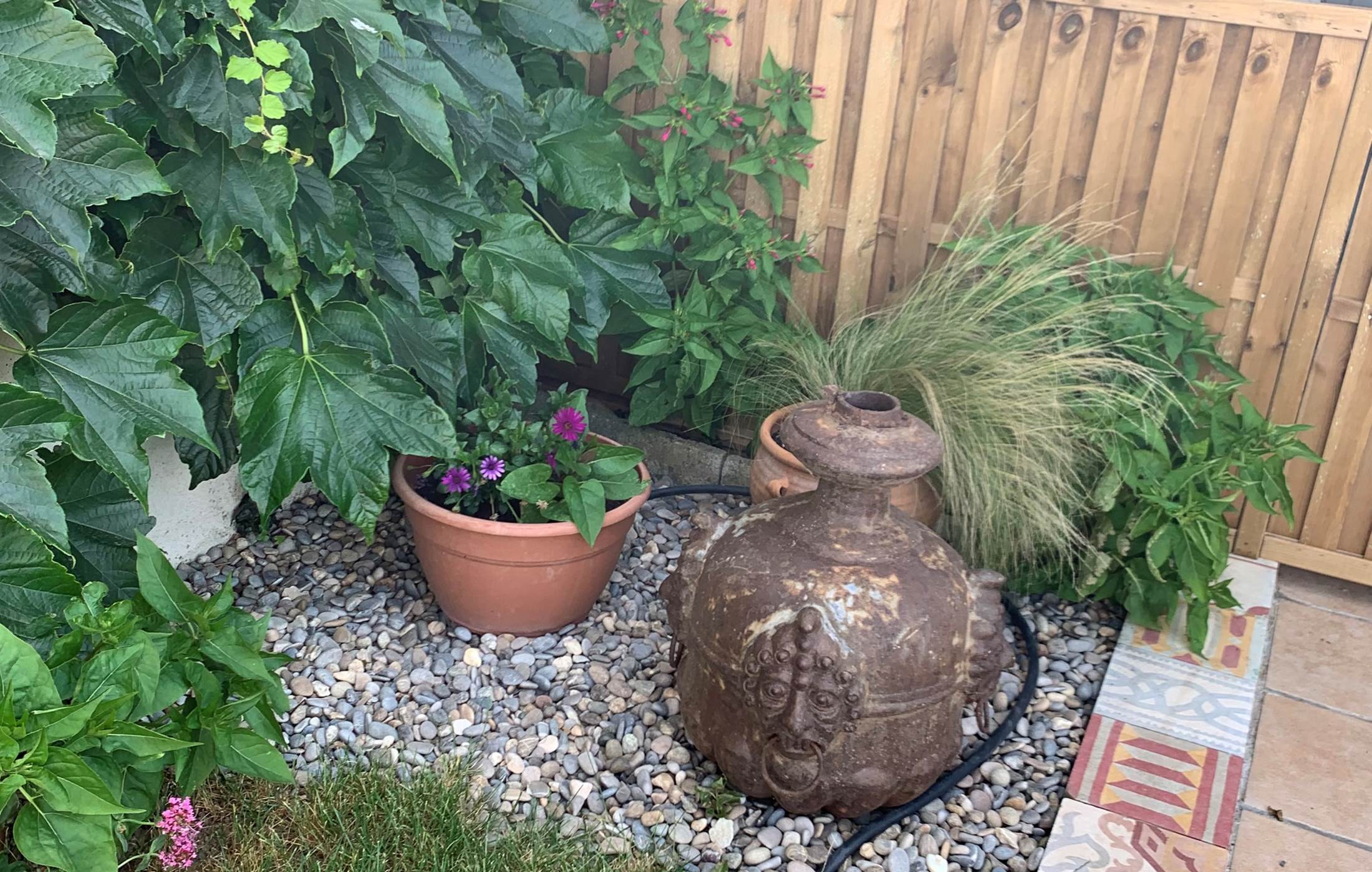 Le Mas Mellou / Gîtes Le Couchant - Le Jardin