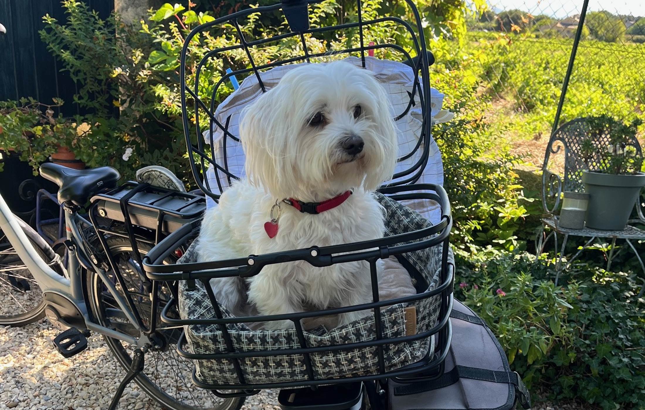 Le Mas Mellou : Accueil Vélo