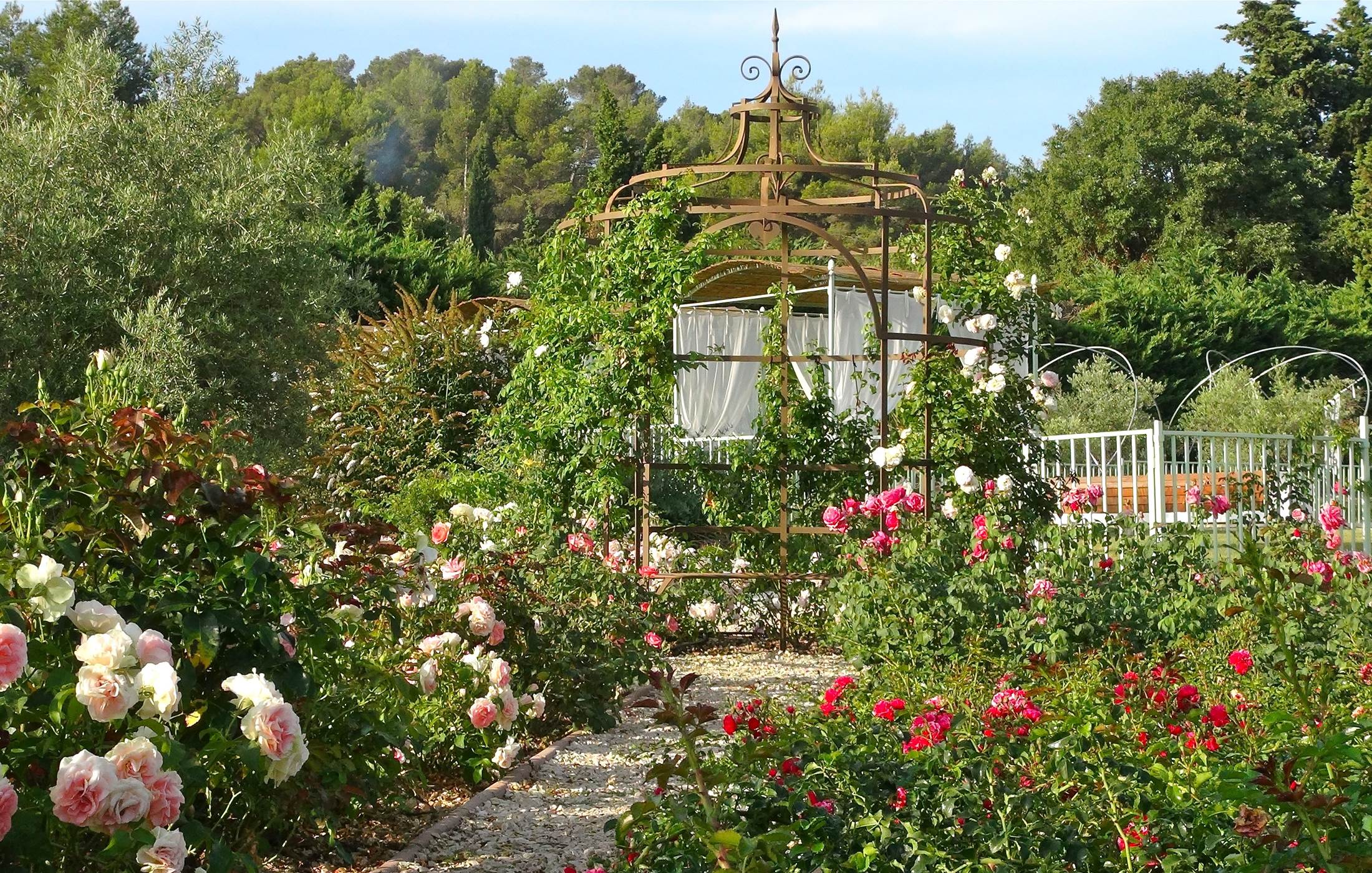 roseraie-gite-alpilles