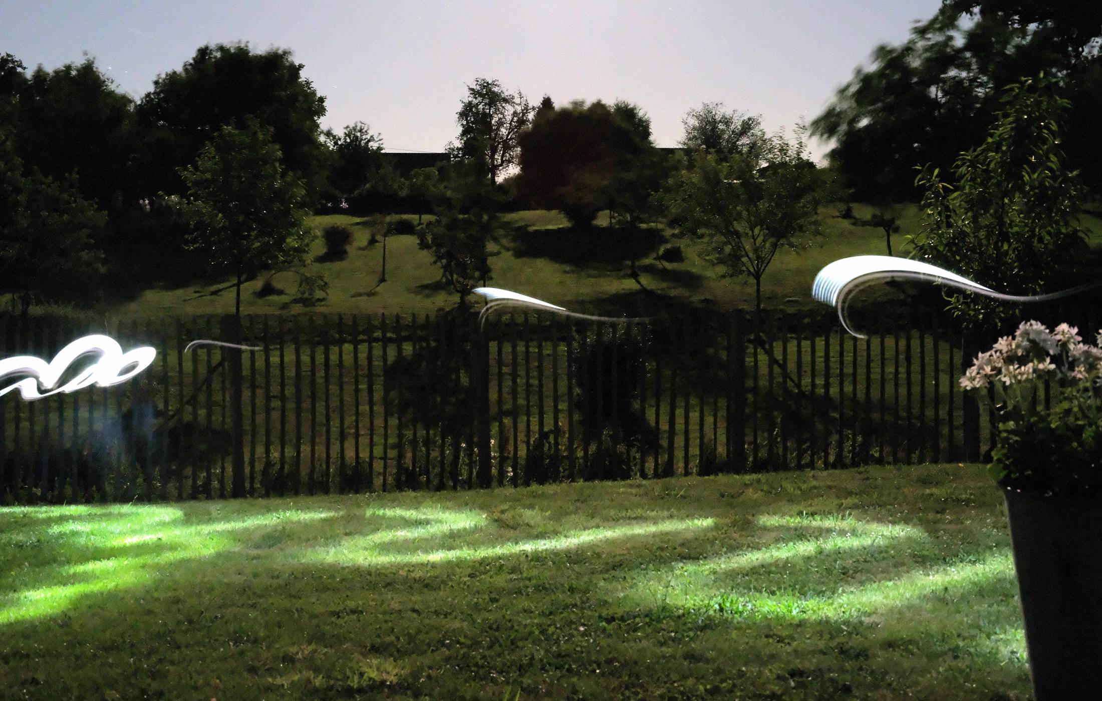 les volutes dans le jardin