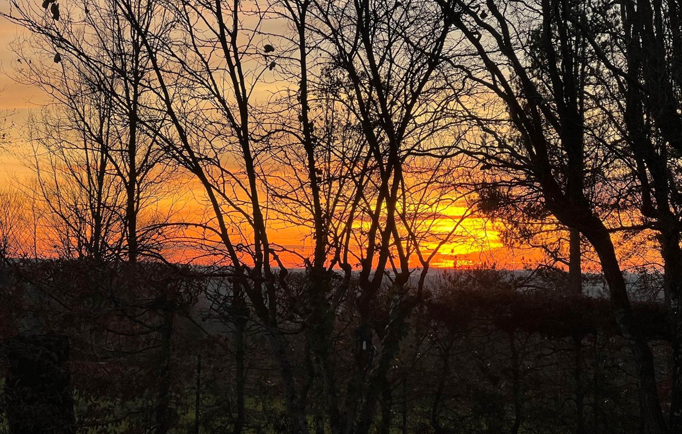 Un coucher de soleil à l'Olivianne