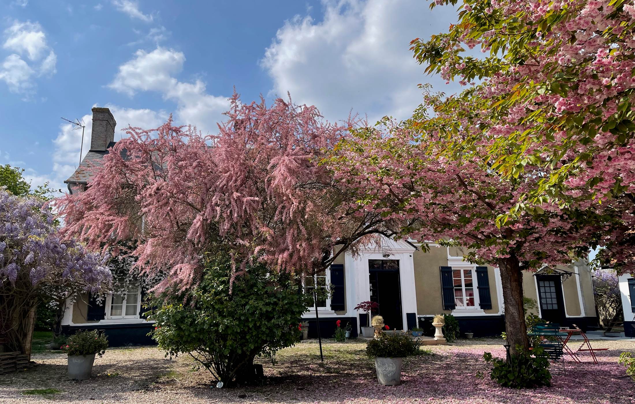 © Au Presbytère de Saigneville