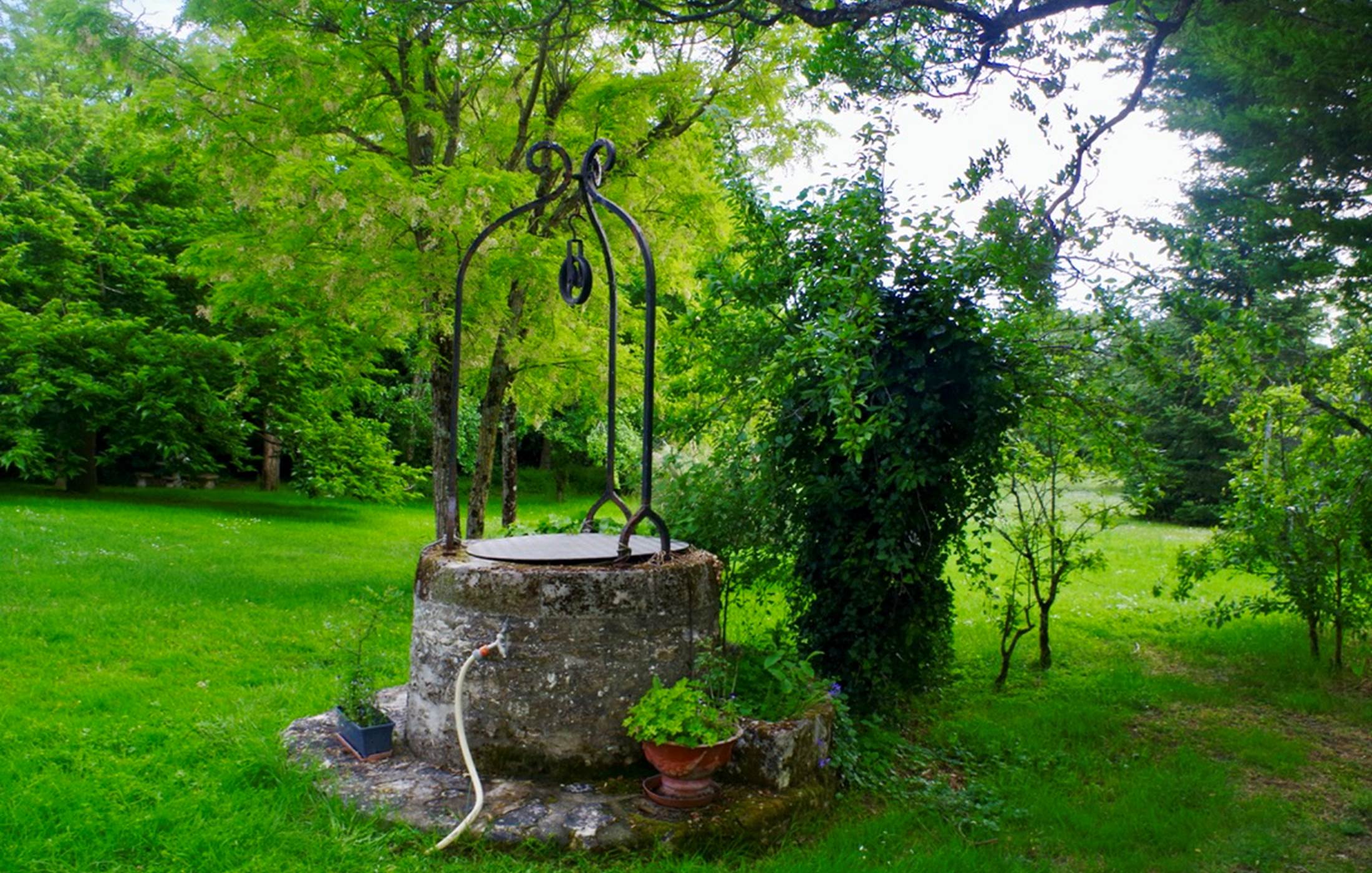 6918AA42-08E0-4B29-93BA-4A8BFA91F294_1_105_c