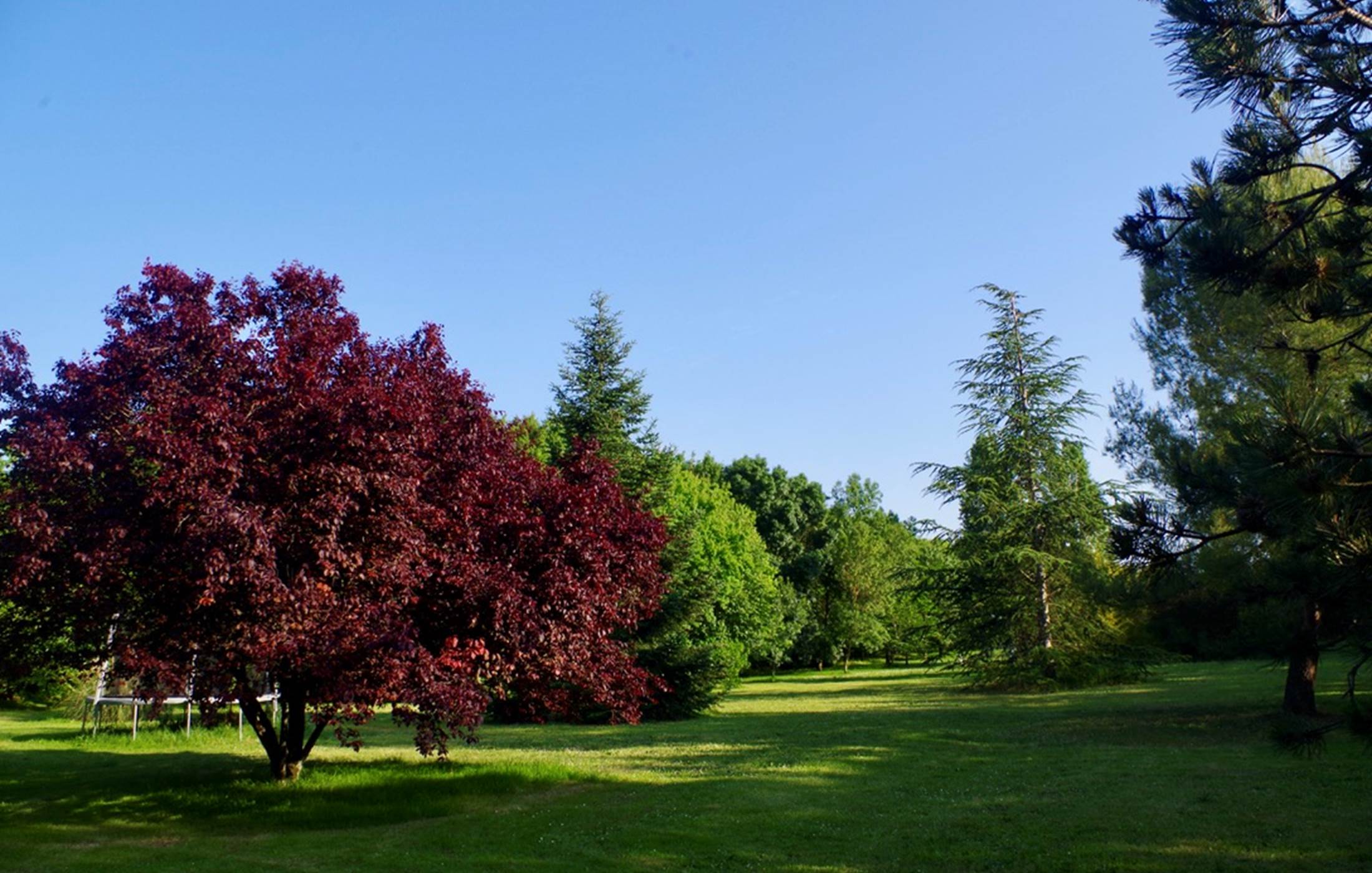 DA3BE276-3429-4C90-814D-D0AAB3F46D02_1_105_c