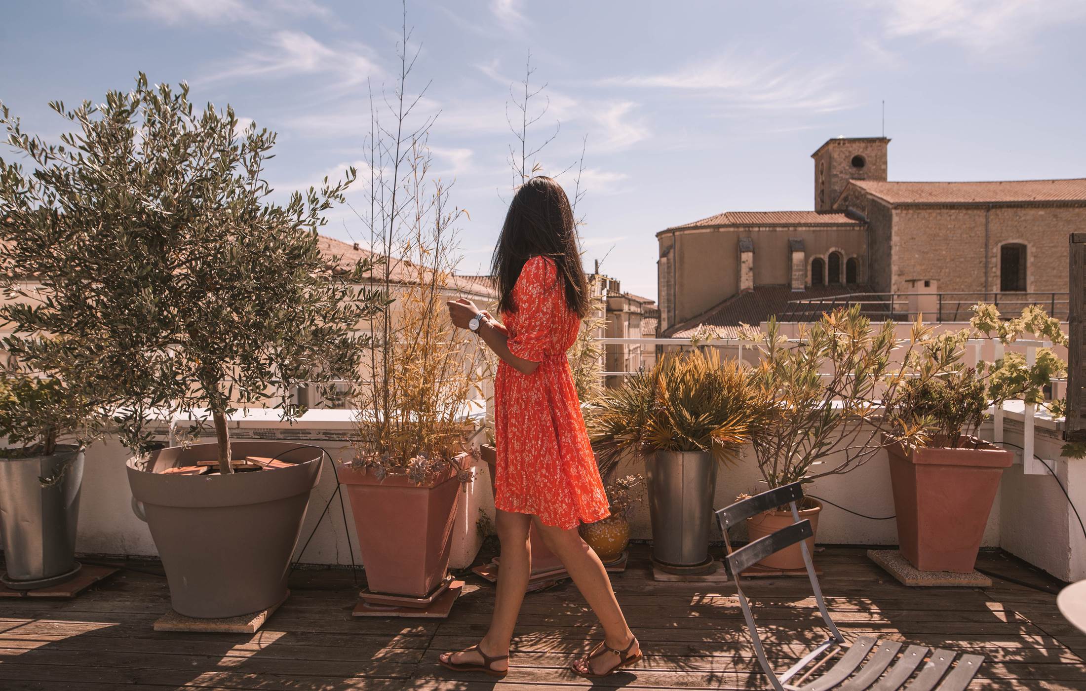 Roof Top with plants