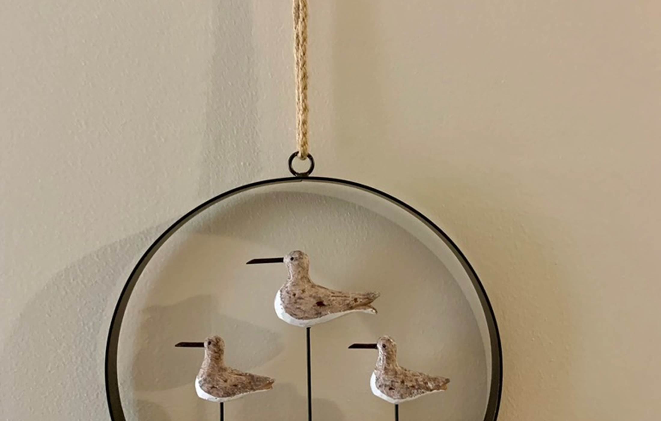 4C6F71D1-970A-42D6-AAC8-2E25074BBD26_1_105_c