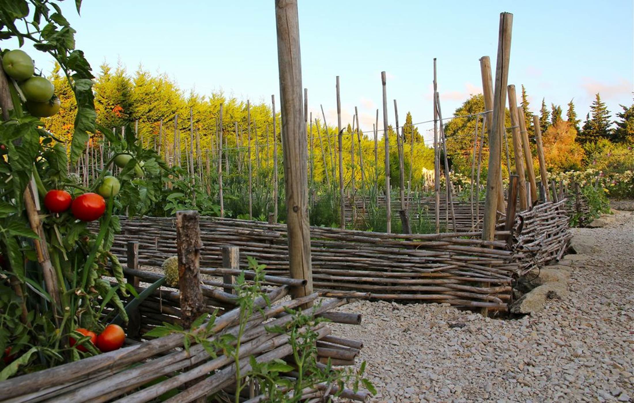 potager-saint-remy-de-provence-bio
