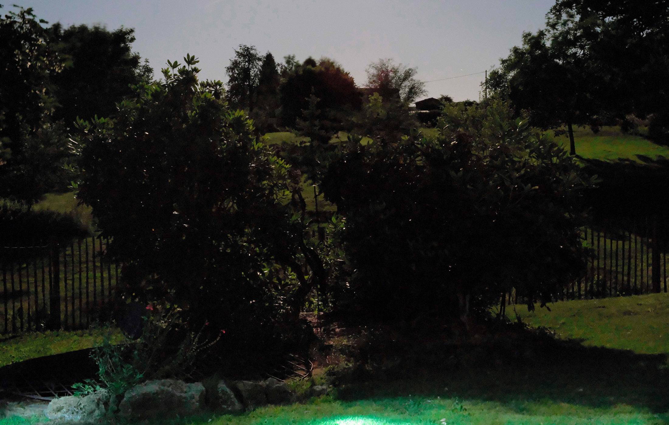 la lumière dans les bosquets